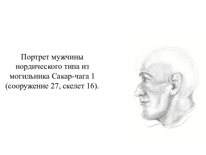 Портрет мужчины нордического типа из могильника Сакар-чага 1 (сооружение 27, скелет 16).