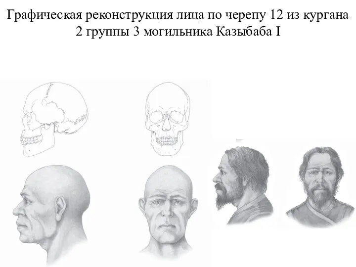 Графическая реконструкция лица по черепу 12 из кургана 2 группы 3 могильника Казыбаба I