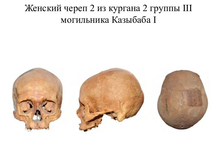 Женский череп 2 из кургана 2 группы III могильника Казыбаба I