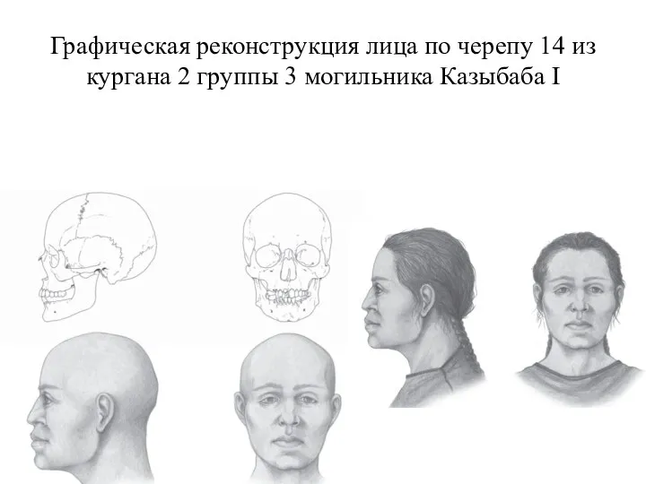 Графическая реконструкция лица по черепу 14 из кургана 2 группы 3 могильника Казыбаба I