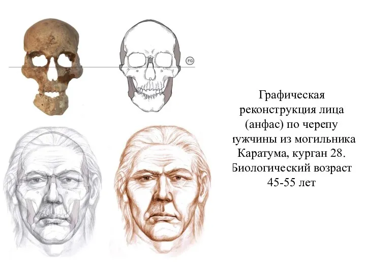 Графическая реконструкция лица (анфас) по черепу мужчины из могильника Каратума, курган 28. Биологический возраст 45-55 лет