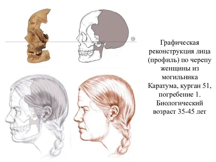 Графическая реконструкция лица (профиль) по черепу женщины из могильника Каратума, курган 51, погребение