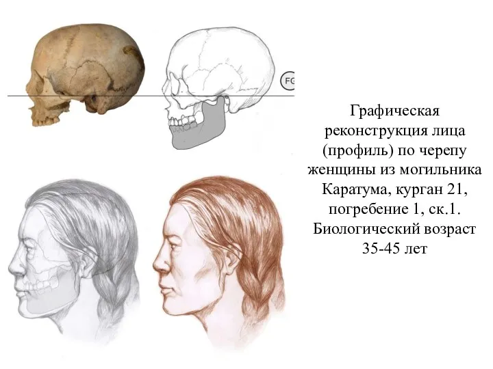 Графическая реконструкция лица (профиль) по черепу женщины из могильника Каратума, курган 21, погребение