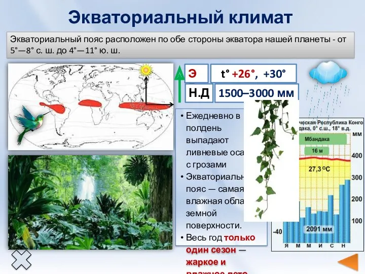 Экваториальный климат Экваториальный пояс расположен по обе стороны экватора нашей