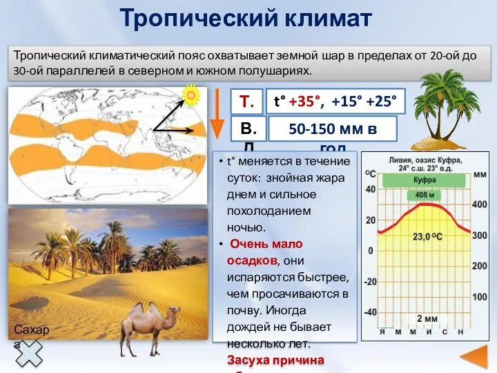 Тропический климат Тропический климатический пояс охватывает земной шар в пределах