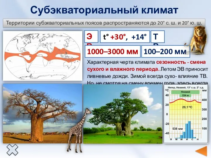 Субэкваториальный климат Территории субэкваториальных поясов распространяются до 20° с. ш.