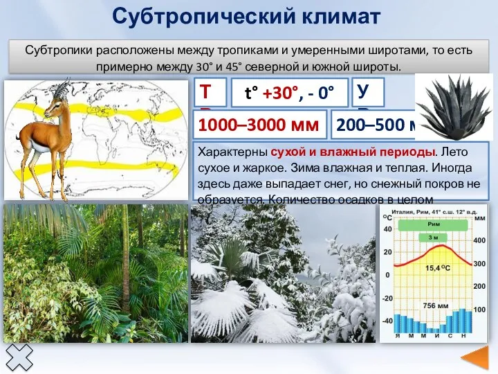 Субтропический климат ТВ t° +30°, - 0° 1000–3000 мм УВ