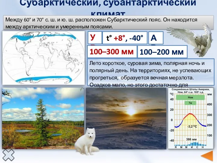 Субарктический, субантарктический климат УВ t° +8°, -40° 100–300 мм АВ