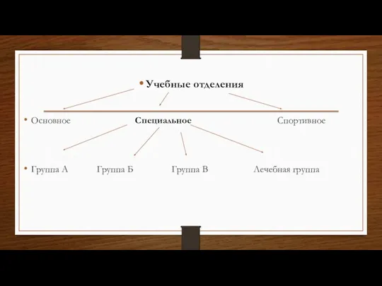 Учебные отделения Основное Специальное Спортивное Группа А Группа Б Группа В Лечебная группа