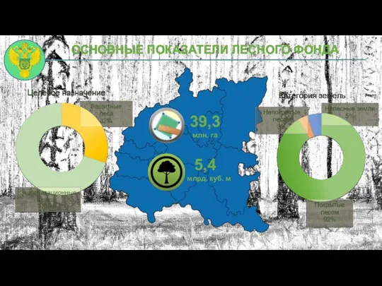 ОСНОВНЫЕ ПОКАЗАТЕЛИ ЛЕСНОГО ФОНДА 39,3 млн. га 5,4 млрд. куб. м