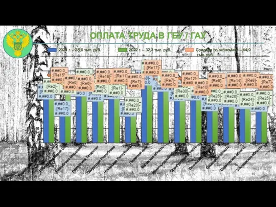 ОПЛАТА ТРУДА В ГБУ / ГАУ 2021 г. – 28,6