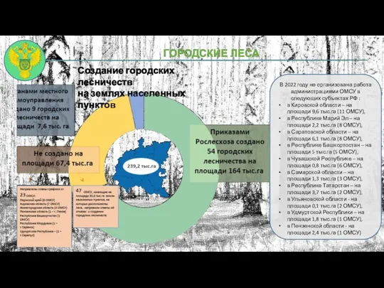 ГОРОДСКИЕ ЛЕСА В 2022 году не организована работа администрациями ОМСУ