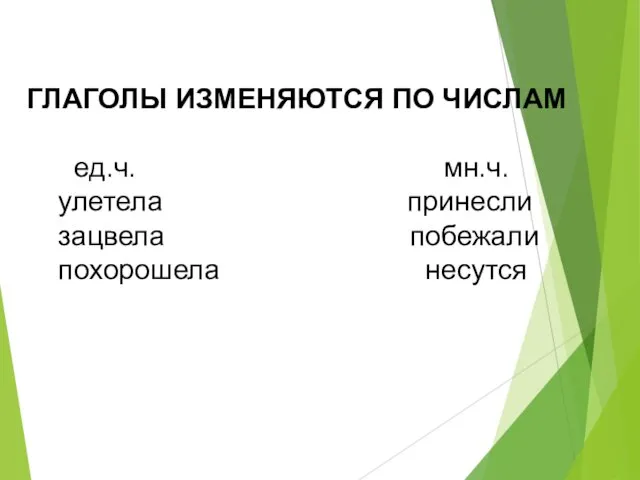 ГЛАГОЛЫ ИЗМЕНЯЮТСЯ ПО ЧИСЛАМ ед.ч. мн.ч. улетела принесли зацвела побежали похорошела несутся