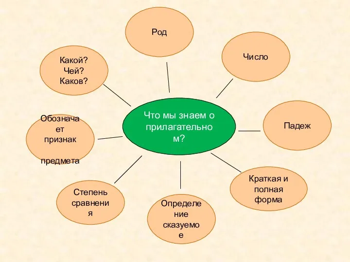 Что мы знаем о прилагательном? Какой? Чей? Каков? Род Число