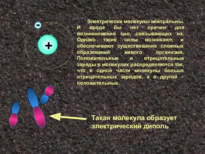 + - Электрически молекулы нейтральны. И вроде бы нет причин