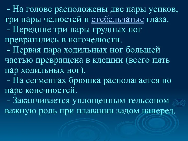 - На голове расположены две пары усиков, три пары челюстей