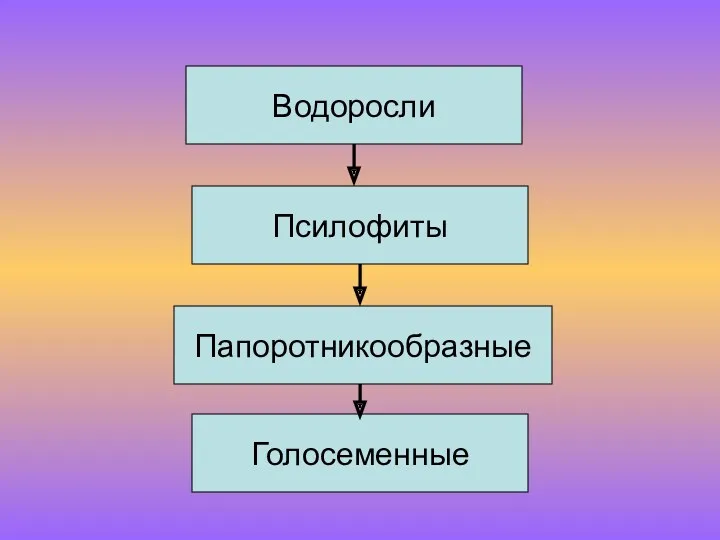 Водоросли Псилофиты Папоротникообразные Голосеменные