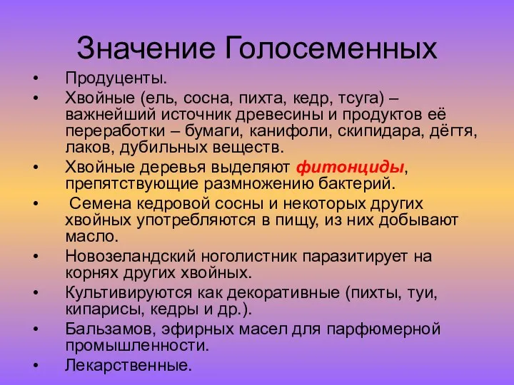 Значение Голосеменных Продуценты. Хвойные (ель, сосна, пихта, кедр, тсуга) –