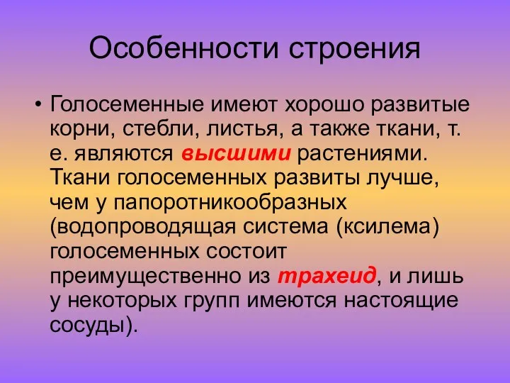 Особенности строения Голосеменные имеют хорошо развитые корни, стебли, листья, а