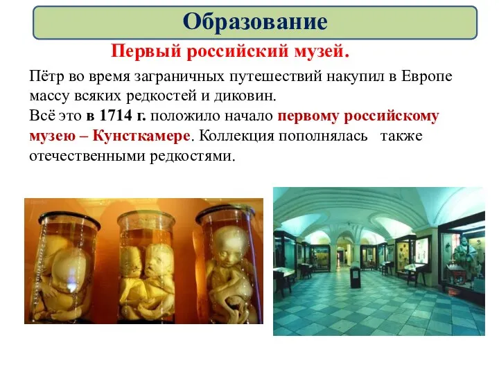 Первый российский музей. Пётр во время заграничных путешествий накупил в Европе массу всяких