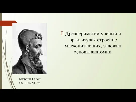 Древнеримский учёный и врач, изучая строение млекопитающих, заложил основы анатомии. Клавдий Гален Ок. 130-200 гг