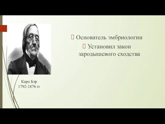Основатель эмбриологии Установил закон зародышевого сходства Карл Бэр 1792-1876 гг