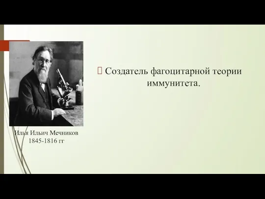 Создатель фагоцитарной теории иммунитета. Илья Ильич Мечников 1845-1816 гг
