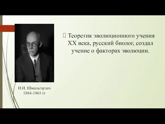 Теоретик эволюционного учения XX века, русский биолог, создал учение о факторах эволюции. И.И. Шмальгаузен 1884-1963 гг