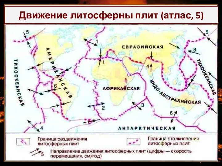 Тектоника (с греч «созидательный» Отрасль геологии, изучающая структуру земной коры