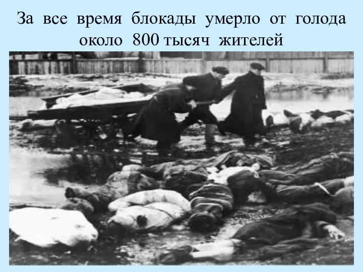За все время блокады умерло от голода около 800 тысяч жителей