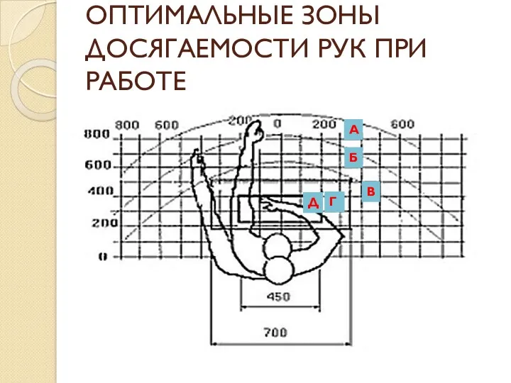 ОПТИМАЛЬНЫЕ ЗОНЫ ДОСЯГАЕМОСТИ РУК ПРИ РАБОТЕ