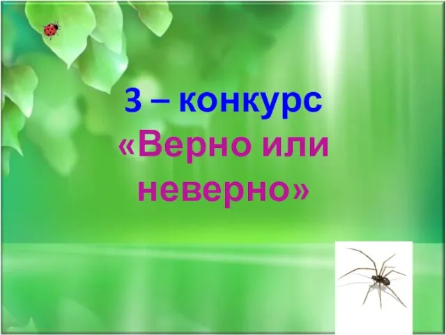 3 – конкурс «Верно или неверно»