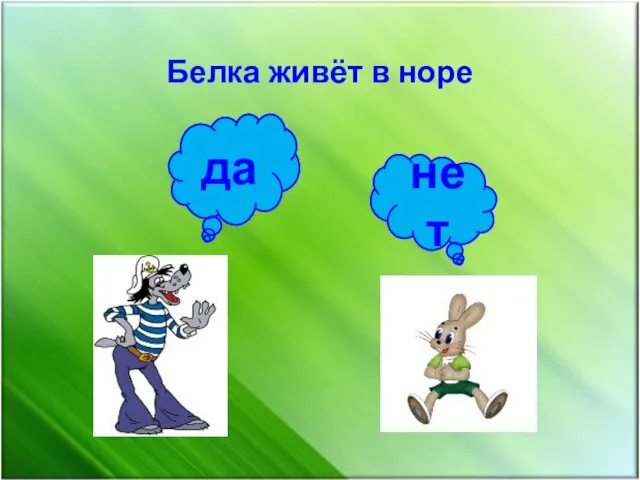 Белка живёт в норе да нет