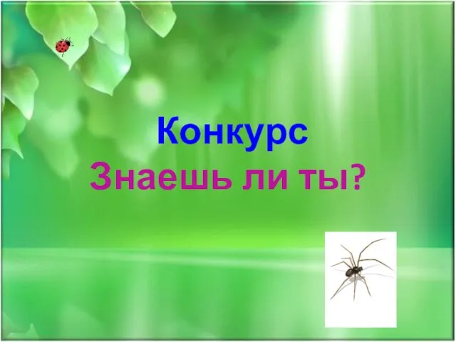 Конкурс Знаешь ли ты?