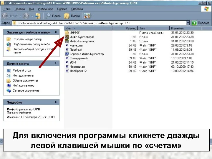 Для включения программы кликнете дважды левой клавишей мышки по «счетам»