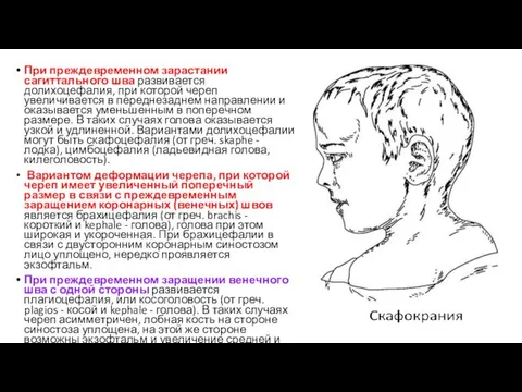 При преждевременном зарастании сагиттального шва развивается долихоцефалия, при которой череп