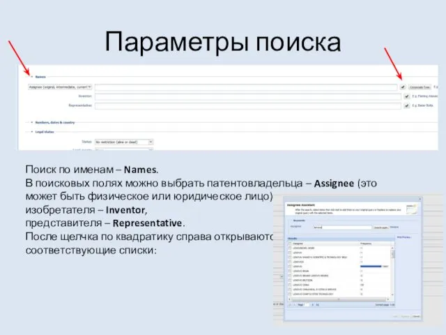 Параметры поиска Поиск по именам – Names. В поисковых полях