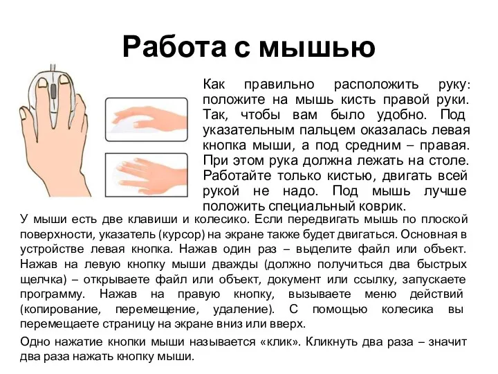 Работа с мышью Как правильно расположить руку: положите на мышь