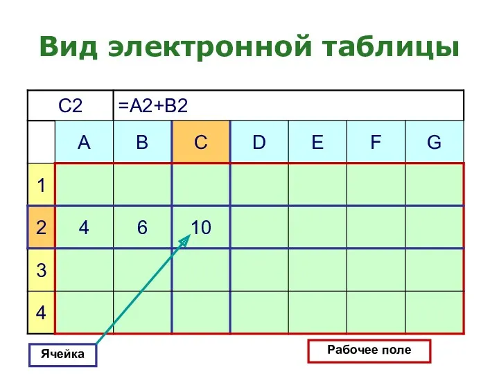 Вид электронной таблицы Ячейка Рабочее поле