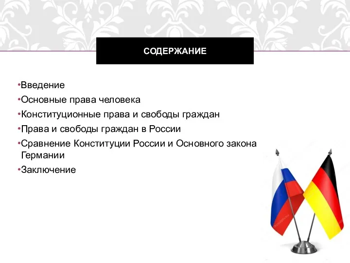 Введение Основные права человека Конституционные права и свободы граждан Права