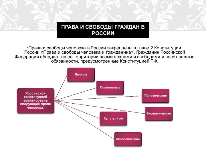 Права и свободы человека в России закреплены в главе 2