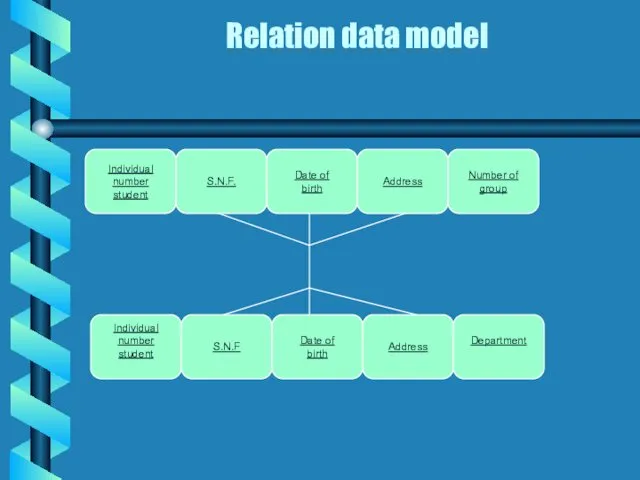 Relation data model Individual number student S.N.F. Date of birth