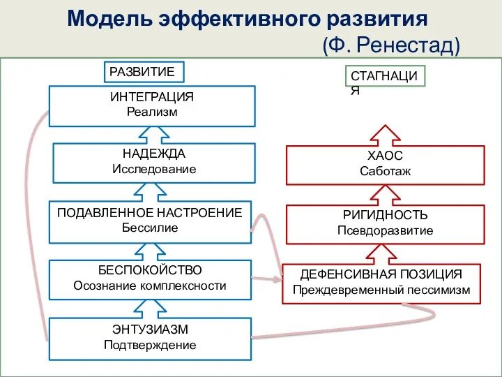 Модель эффективного развития (Ф. Ренестад)