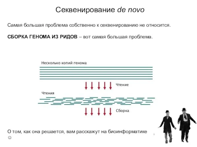 Секвенирование de novo Самая большая проблема собственно к секвенированию не относится. СБОРКА ГЕНОМА