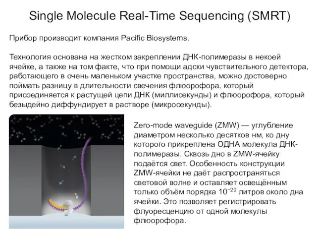 Single Molecule Real-Time Sequencing (SMRT) Прибор производит компания Pacific Biosystems. Технология основана на