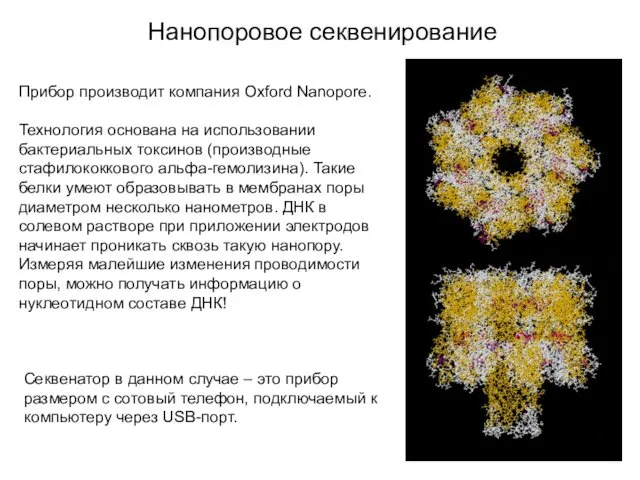 Нанопоровое секвенирование Прибор производит компания Oxford Nanopore. Технология основана на использовании бактериальных токсинов