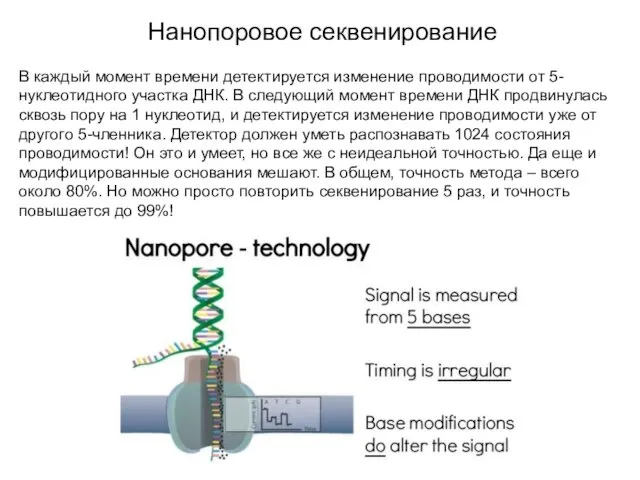 Нанопоровое секвенирование В каждый момент времени детектируется изменение проводимости от 5-нуклеотидного участка ДНК.