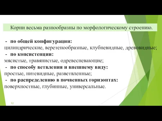 Корни весьма разнообразны по морфологическому строению. по общей конфигурации: цилиндрические,