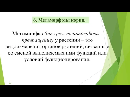 6. Метаморфозы корня. Метаморфоз (от греч. metamórphosis - превращение) у