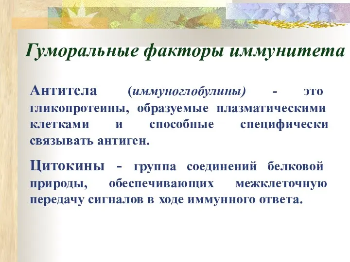 Гуморальные факторы иммунитета Антитела (иммуноглобулины) - это гликопротеины, образуемые плазматическими